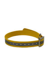 Load image into Gallery viewer, 1''DayGlo Reflective Collar