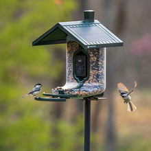 Load image into Gallery viewer, FeatherSnap Scout-WiFi Solar Power Bird Feeder
