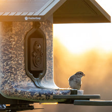 Load image into Gallery viewer, FeatherSnap Scout-WiFi Solar Power Bird Feeder