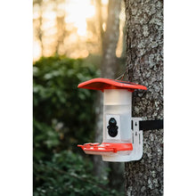 Load image into Gallery viewer, Smart Hummingbird Feeder