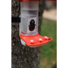 Load image into Gallery viewer, Smart Hummingbird Feeder
