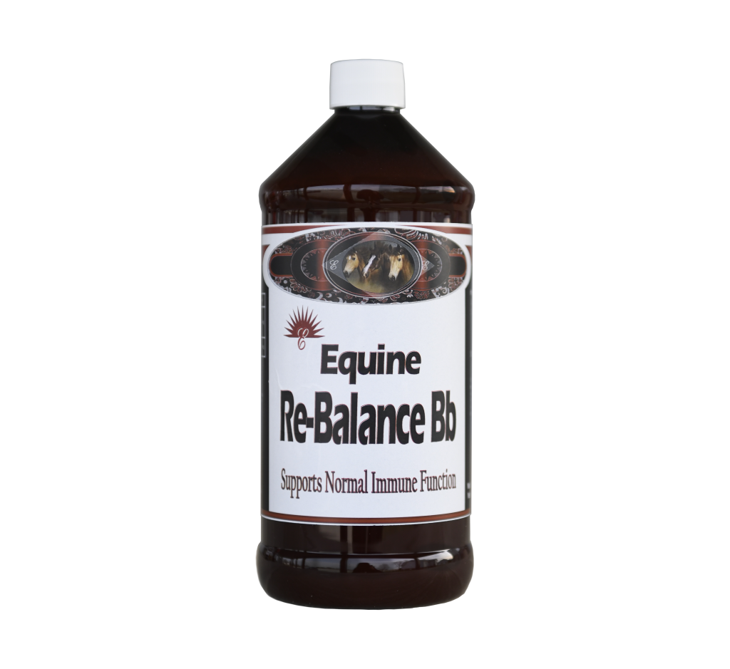 Equine Re-balance