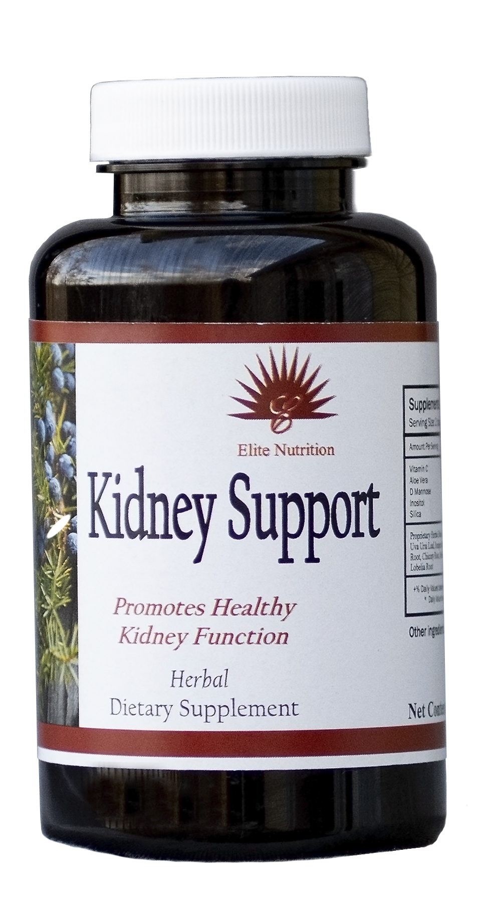 Kidney Support