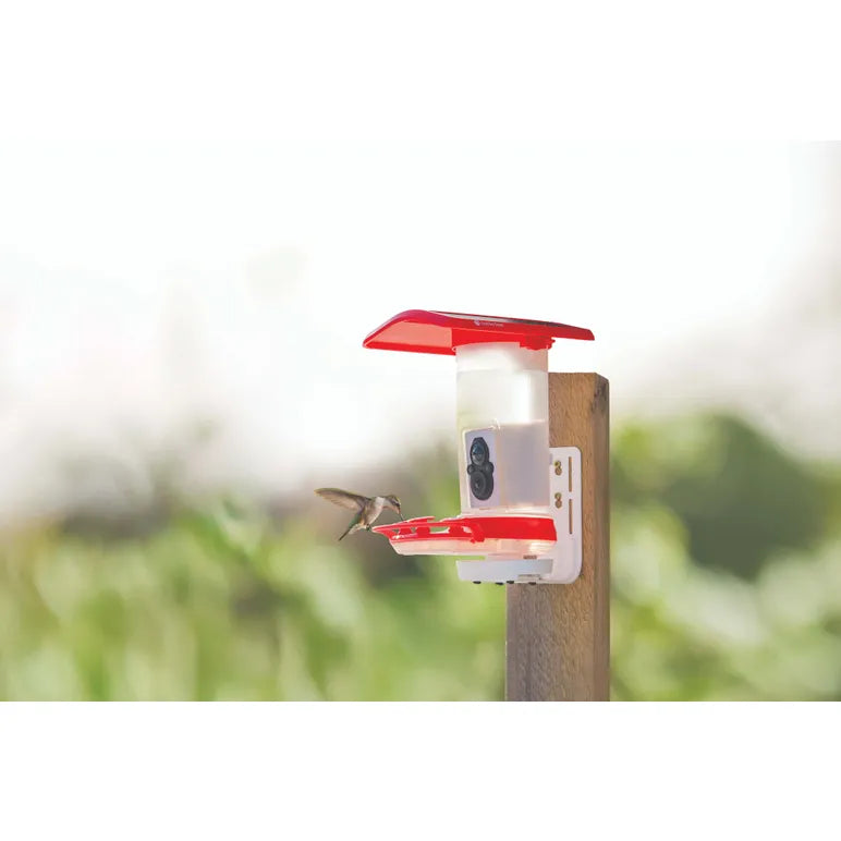 Smart Hummingbird Feeder