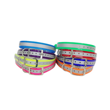 Load image into Gallery viewer, 1&#39;&#39;DayGlo Reflective Collar
