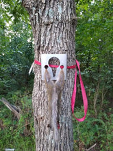 Load image into Gallery viewer, Ridge Runner Original Skinner
